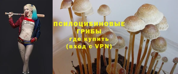 PSILOCYBIN Алзамай